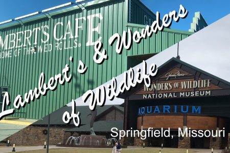 Lamberts Cafe Wonders of Wildlife Thumbnail
